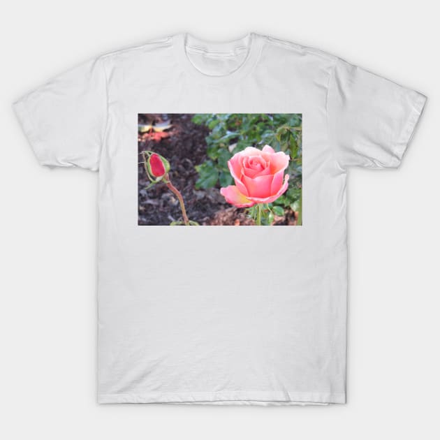 Pink Rose & Bud T-Shirt by ReignyNightz